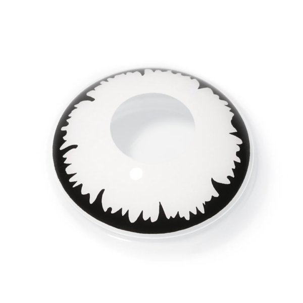 Lentilles Angelic Blanc - 1 an – Image 2