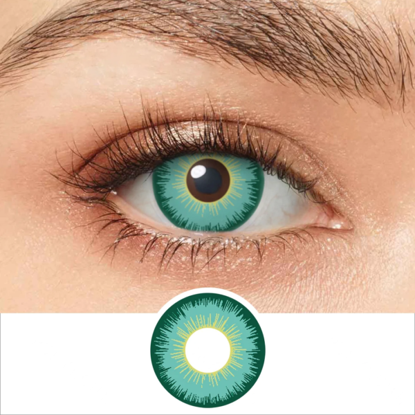 Lentilles Dynamic 2 tons Vert - 1 an