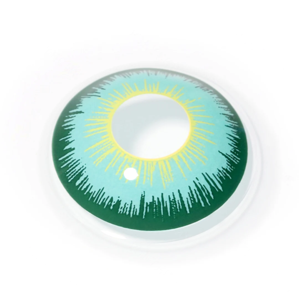 Lentilles Dynamic 2 tons Vert - 1 an – Image 2