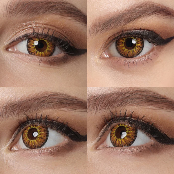 Lentilles Freshgo NoNNo Marron - 1 an – Image 4